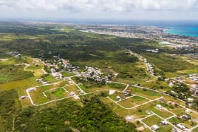 Aerial view of The Grove